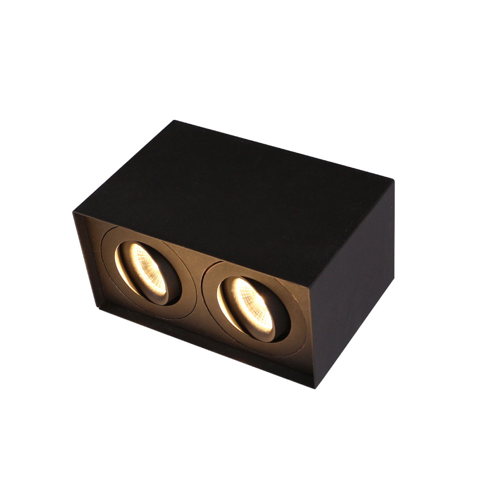 ALCH0108 Double Head Adjustable Surface Mounted LED Ceiling Downlight - Image 1