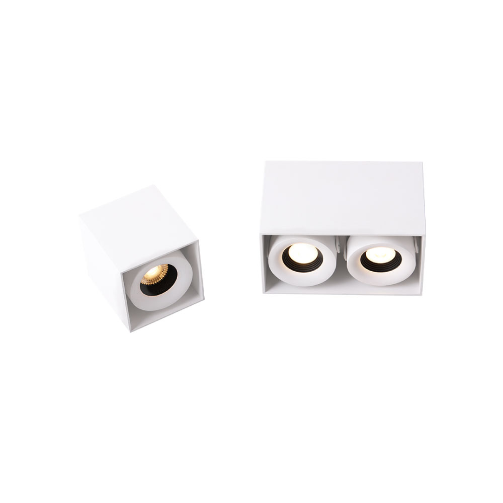 ALCH0151 Ceiling Indoor Surface Mount Anti-Glare Adjustable Ceiling Light - Image 1