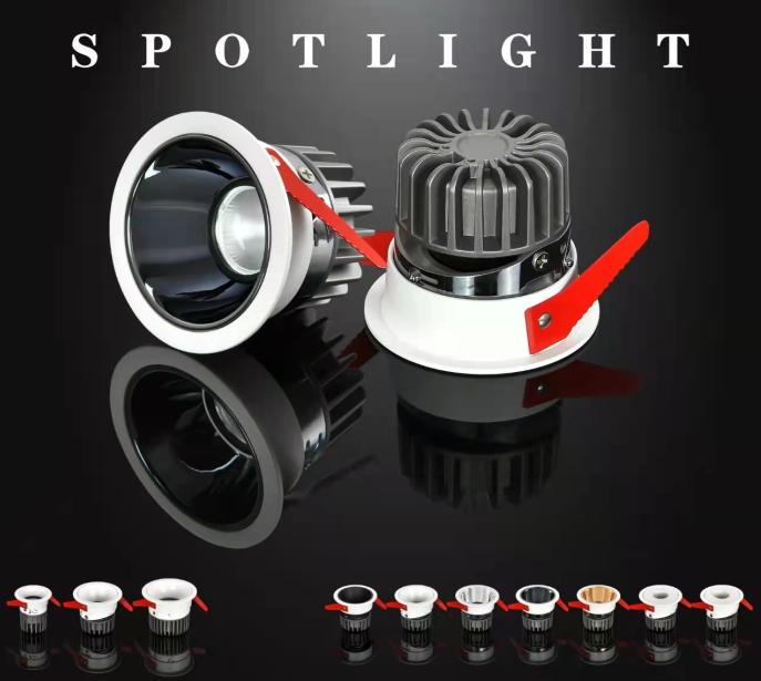 spotlight_10 Exclusive Spotlight 10 - Image 1