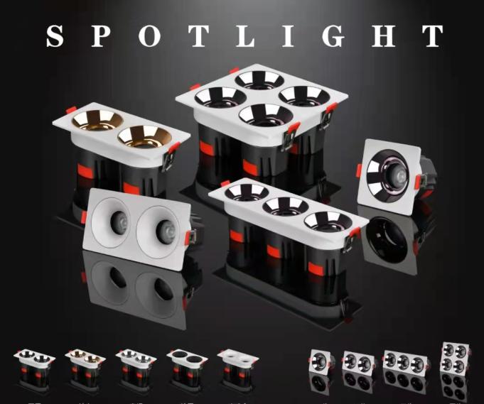 spotlight_2 Exclusive Spotlight 2 - Image 1
