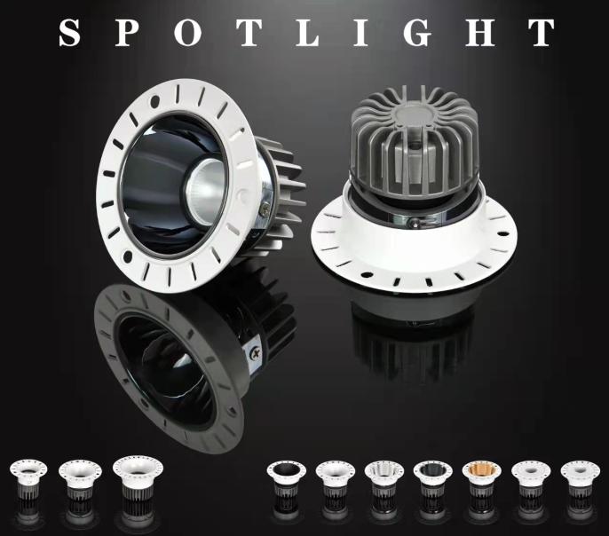 spotlight_3 Exclusive Spotlight 3 - Image 1