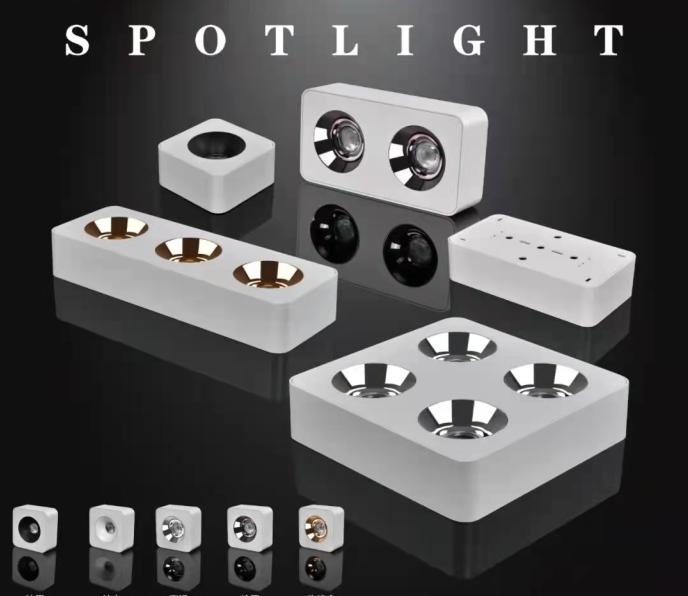 spotlight_6 Exclusive Spotlight 6 - Image 1