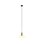 Exclusive Decorative Pendant light – OYD-10633CSP1